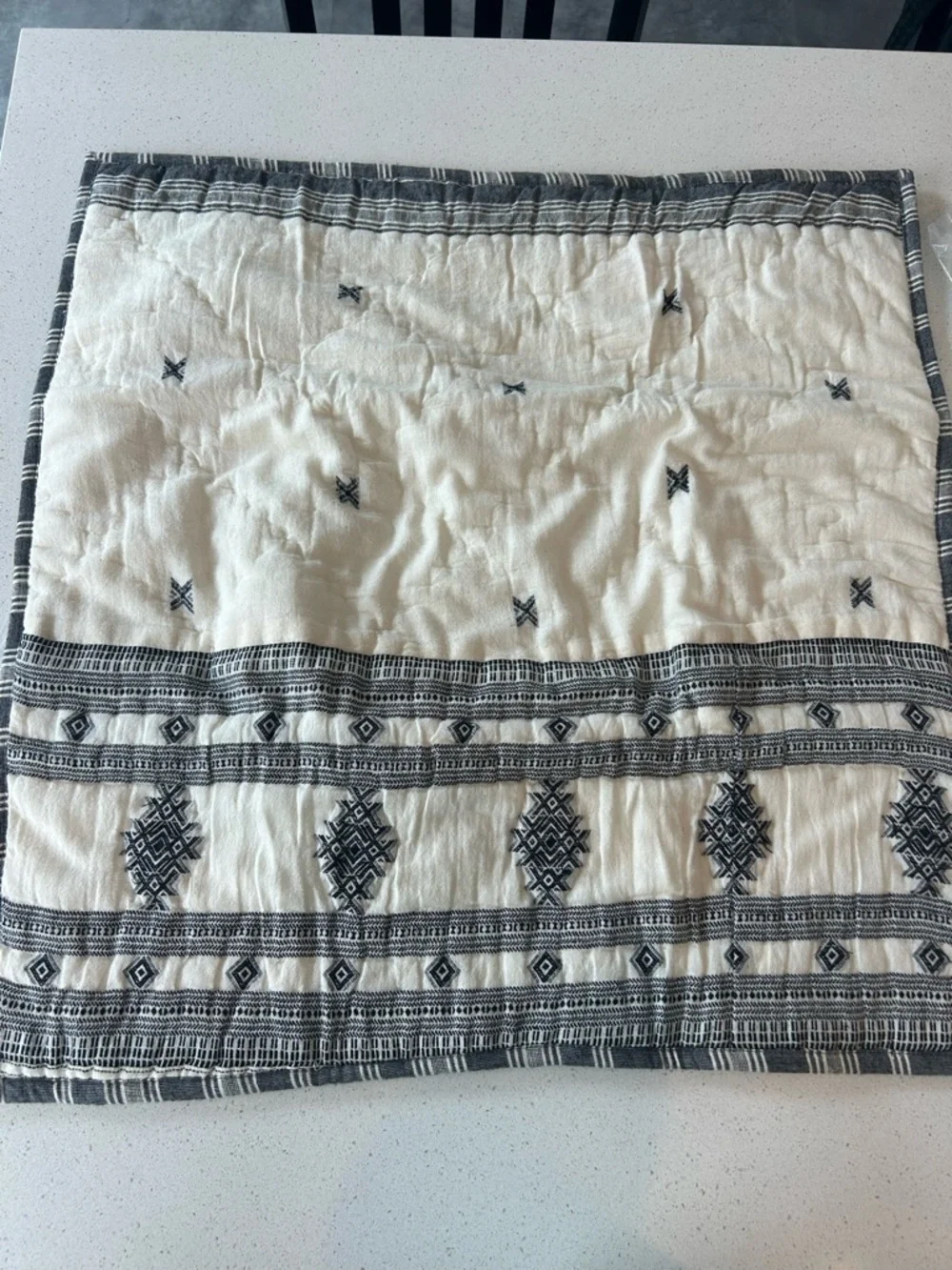 Set of 2 Pottery Barn Dakota Quilted Shams EURO Bundle